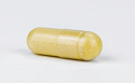 Lex Vitae 09_webconvertido.webp