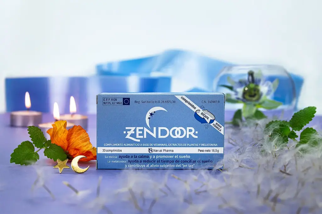 Zendoor ¡A soñar!