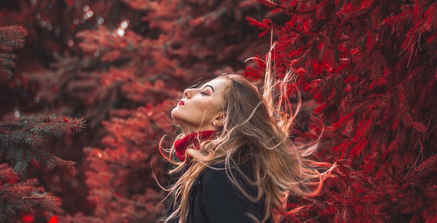 otoño caída pelo